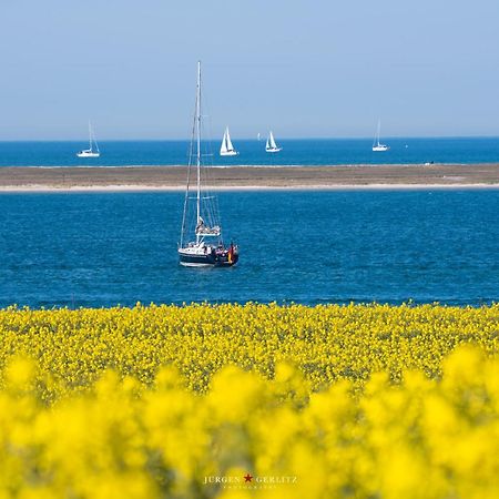 Urlaub Mit Ostseeblick, Schwimmbad, Sauna & Direkte Strandlage Kronsgaard Exterior foto