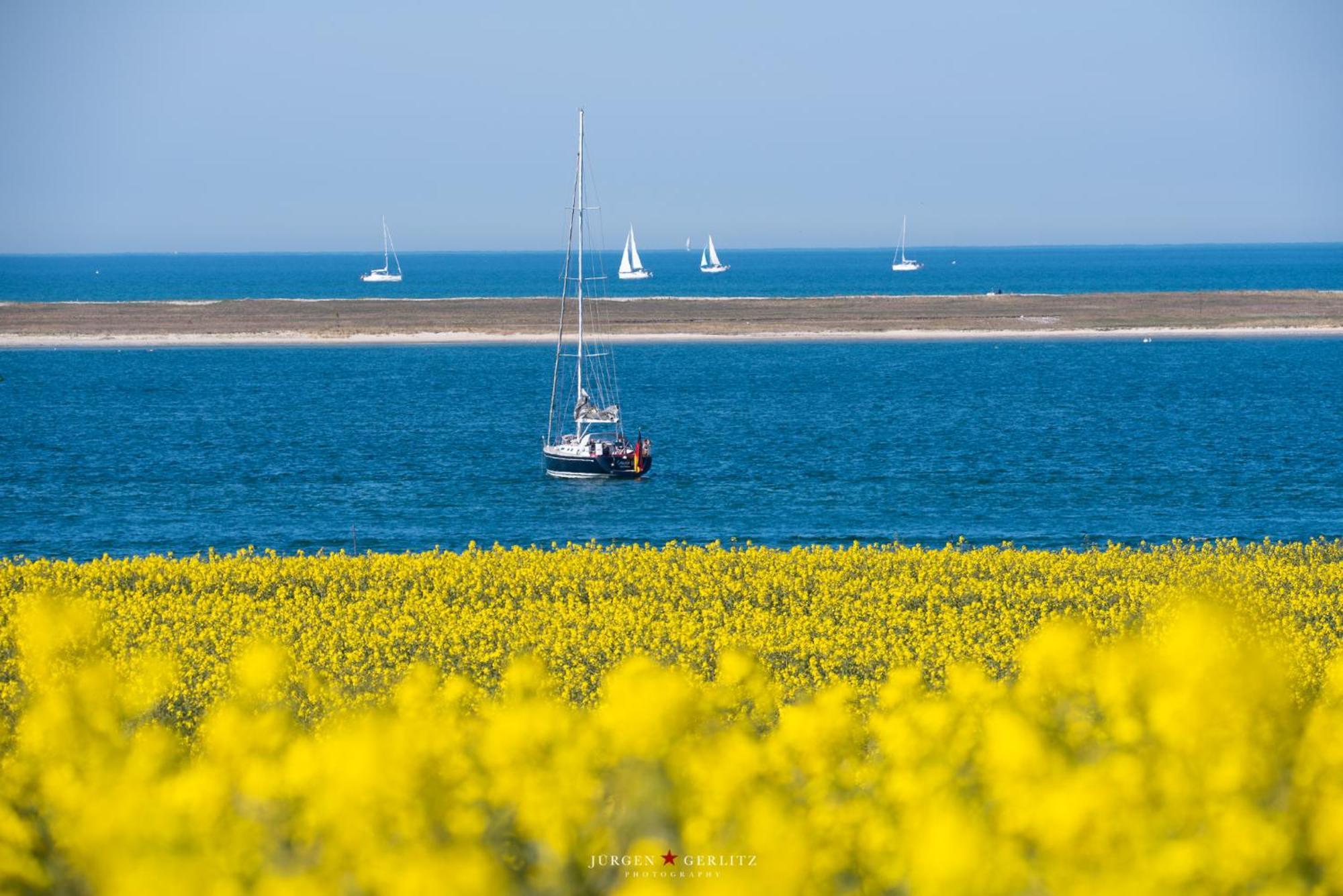 Urlaub Mit Ostseeblick, Schwimmbad, Sauna & Direkte Strandlage Kronsgaard Exterior foto